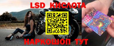 трава Моздок